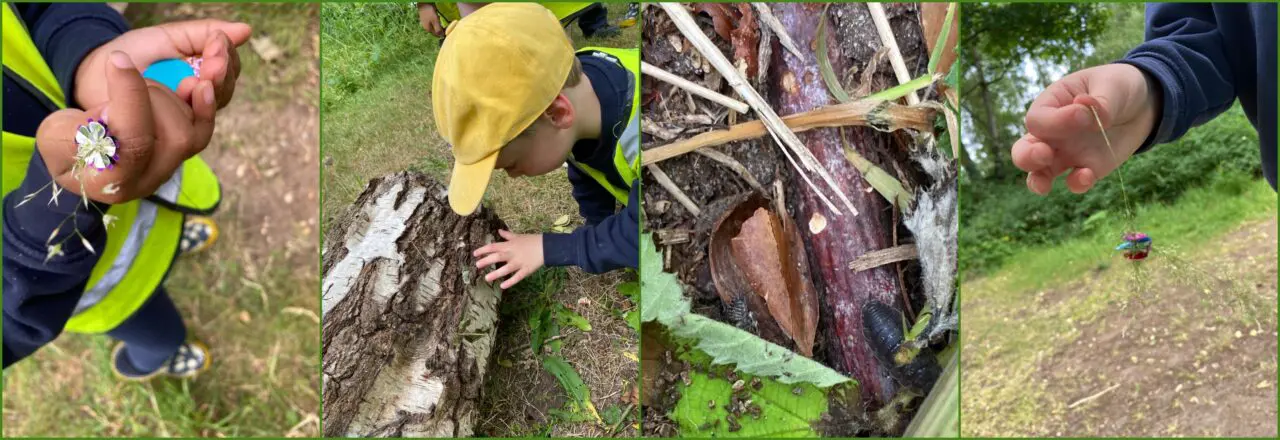 Owls Forest School June 27