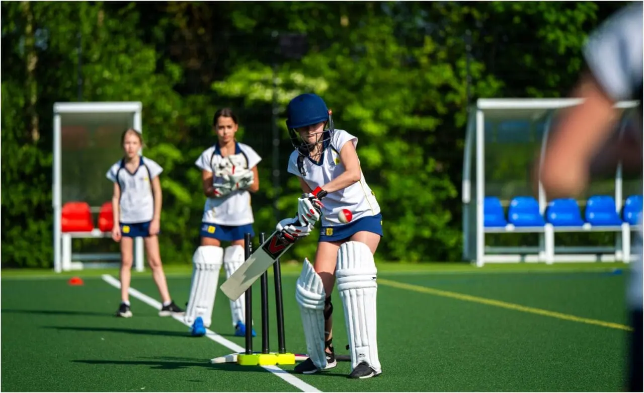 Senior Cricket Generic image