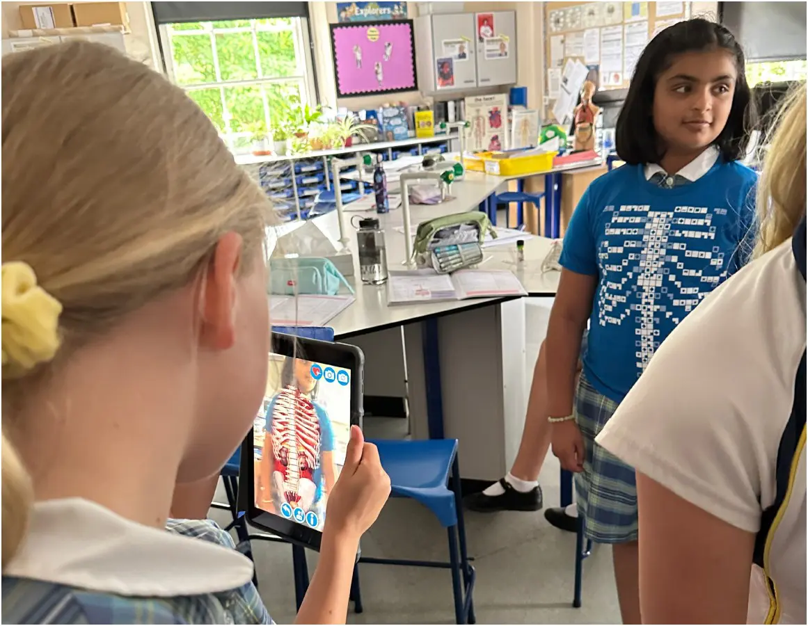 Year 6 Science - The Digestive System