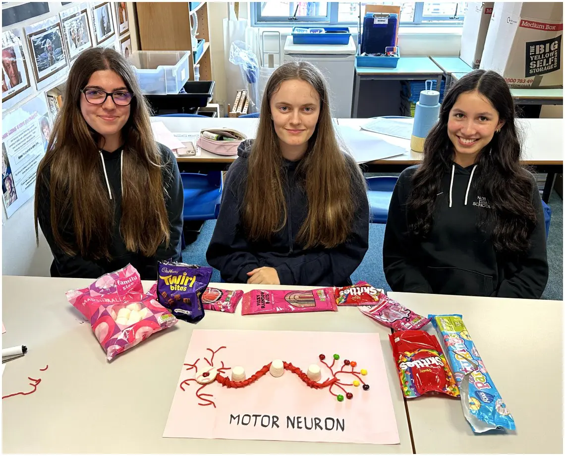 A Level Psychology End of Term