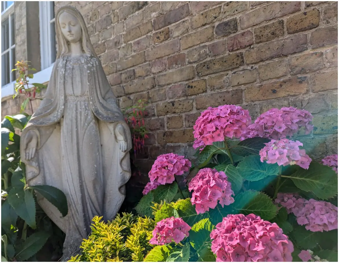 Our Great Outdoors July 12