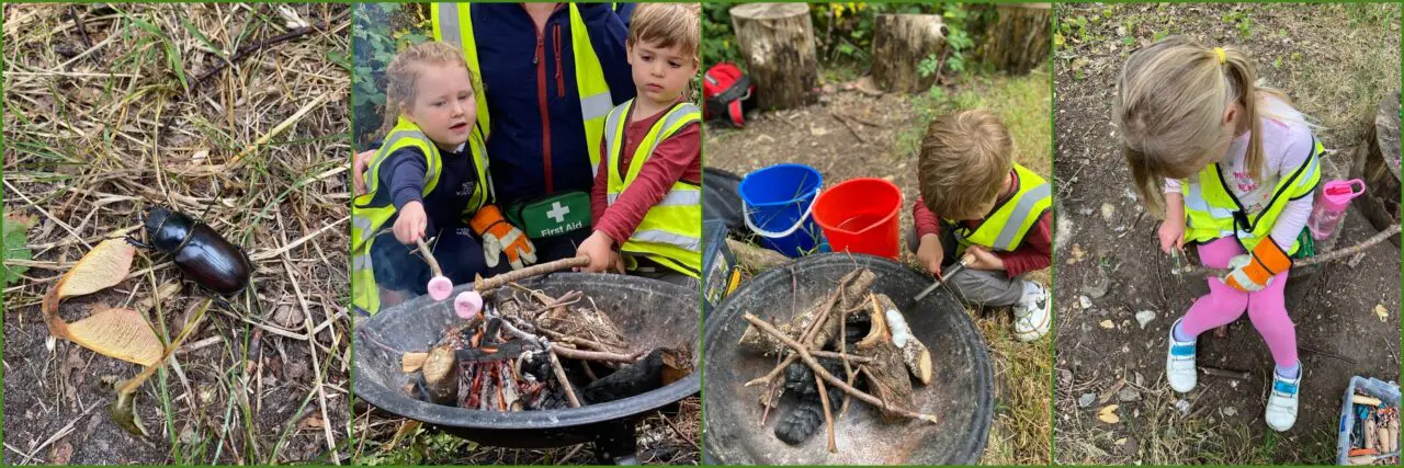 Owls Forest School July 2