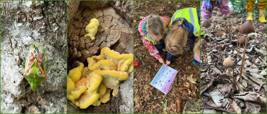 Forest School Sep 10th