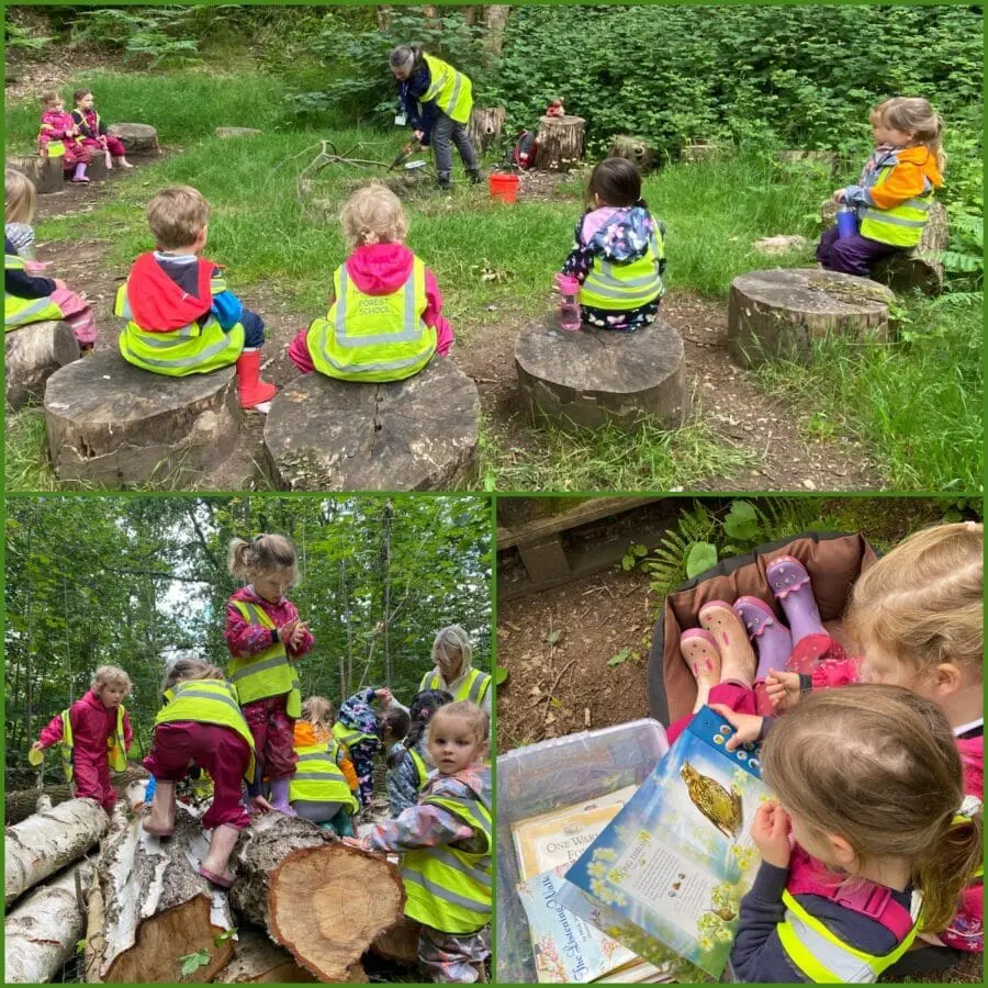 Owls Forest School June 11th