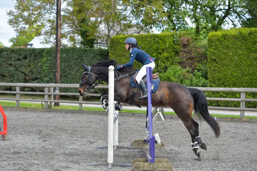 Lucy P - British Showjumping Schools final