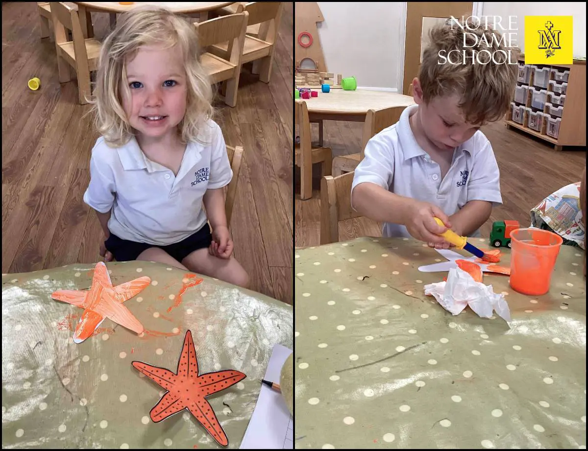 Caterpillars News July 7th - Starfish
