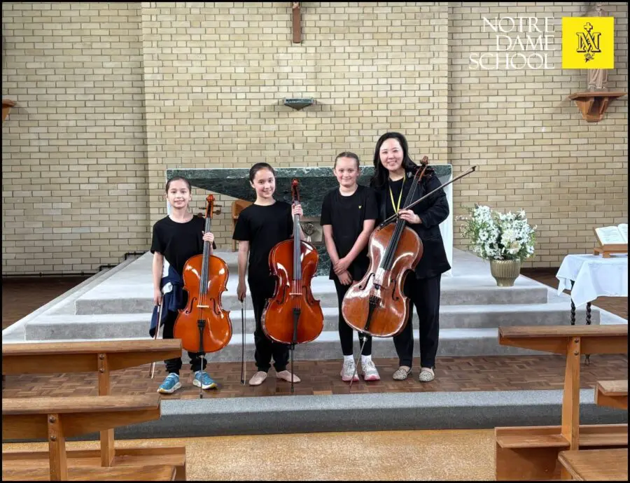 Cello Soiree