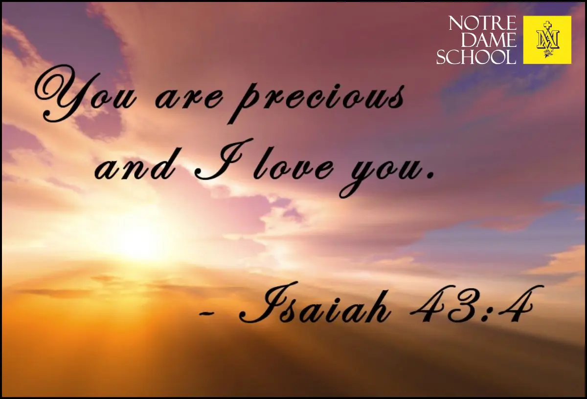 Chaplain Corner - You Are Precious