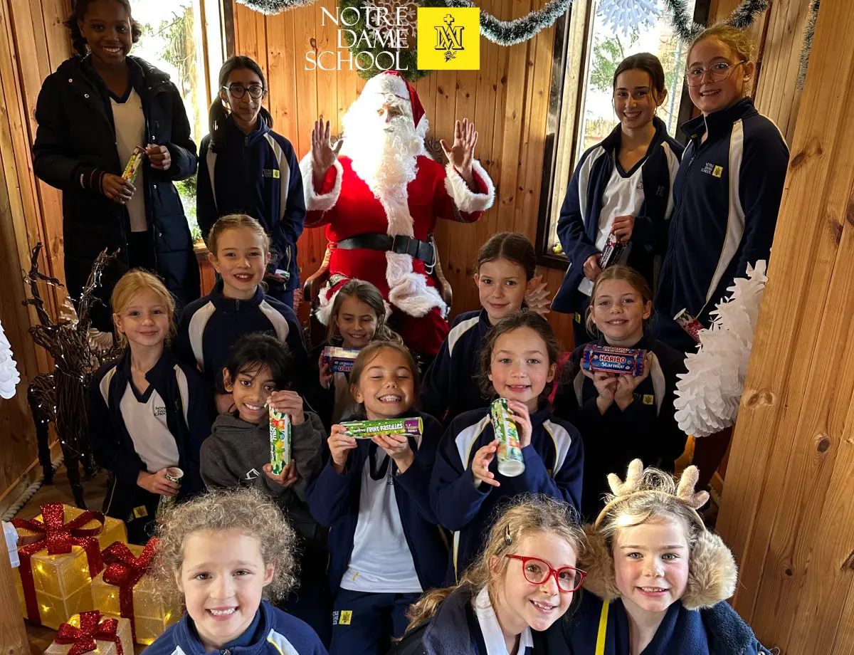 Father Christmas in the Tree House