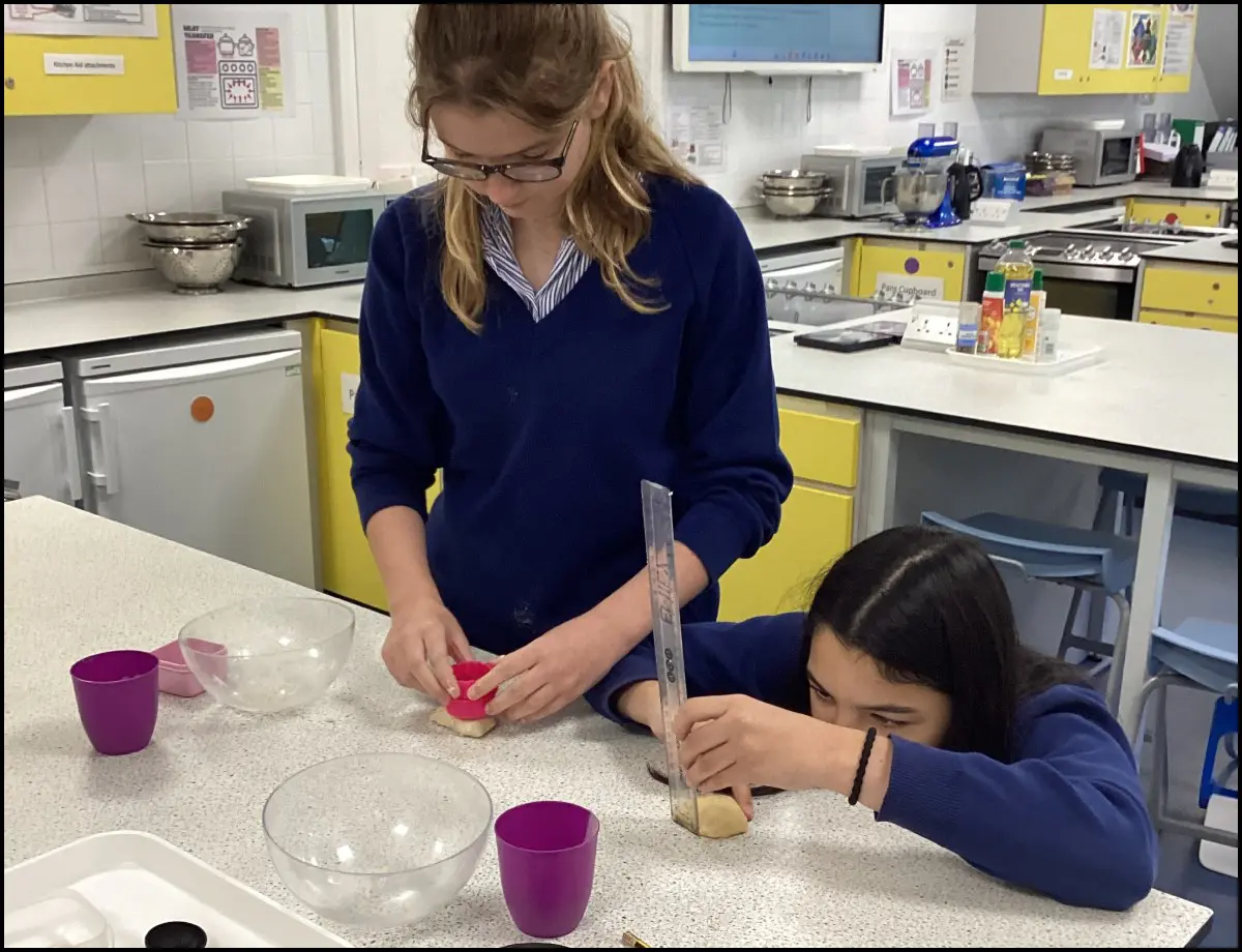 Food - Year 10 - Fats