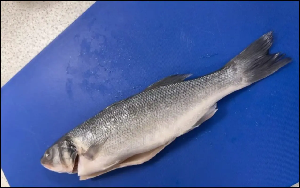 Food and Nutrition - Fish Filleting
