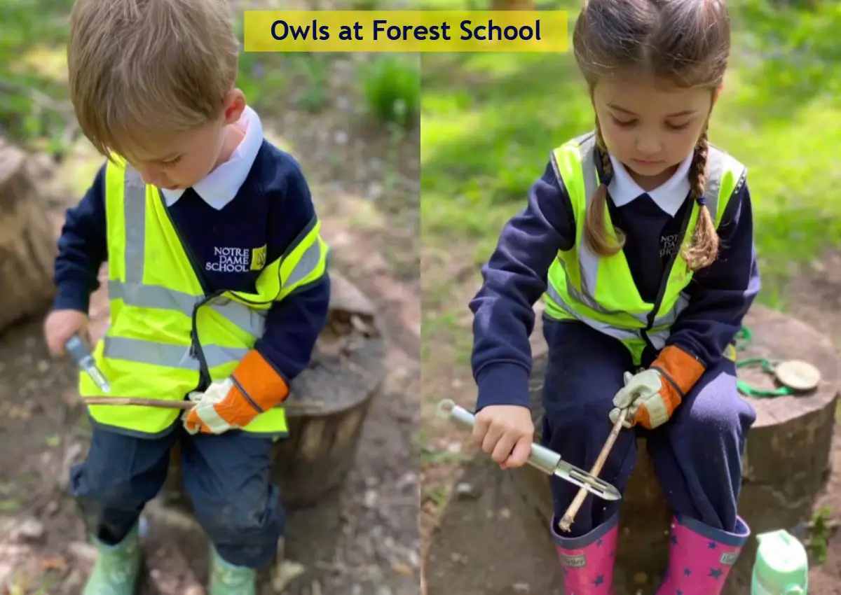 Forest School Owls APril 28