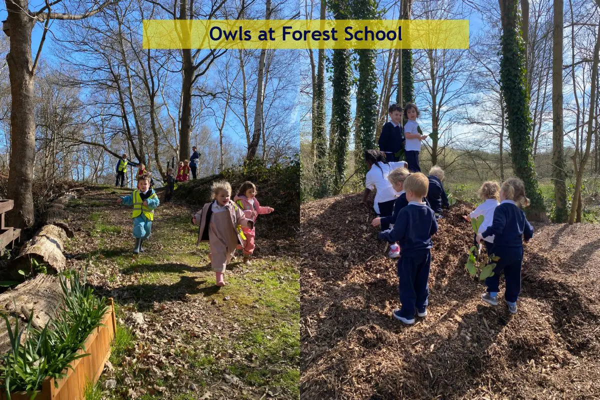 Forest School - Owls April 1st