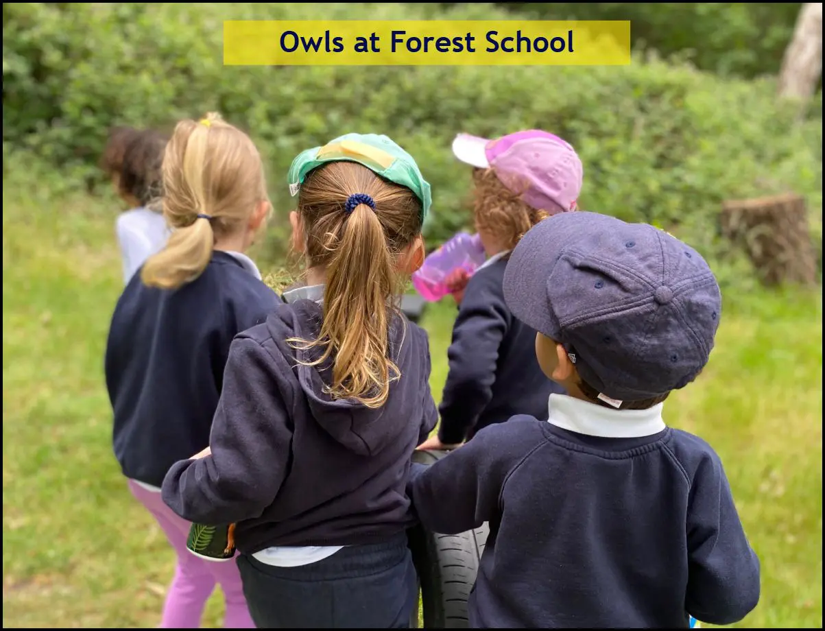 Forest School - Owls June 2