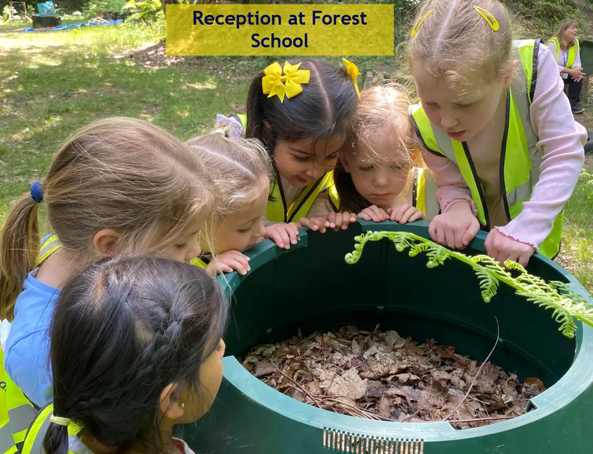 Forest School - Reception June 20