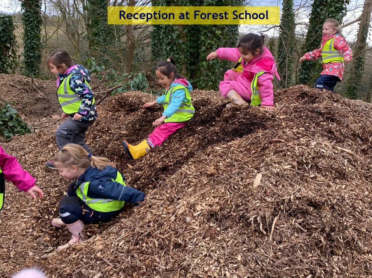 Forest School - Reception March 11
