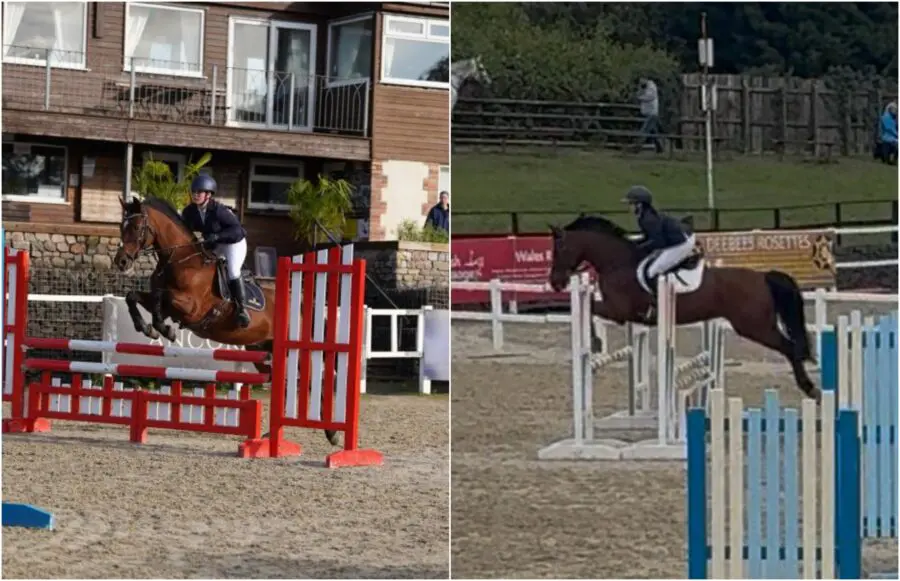 Fran S Showjumping