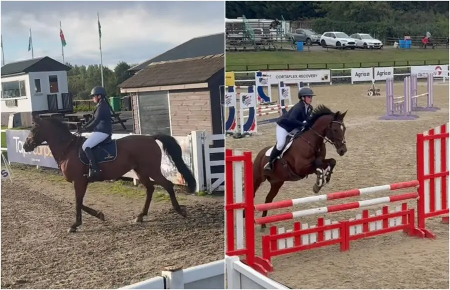 Fran S Showjumping Medals