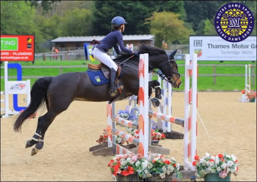 Lucy P Show Jumping at Felbridge