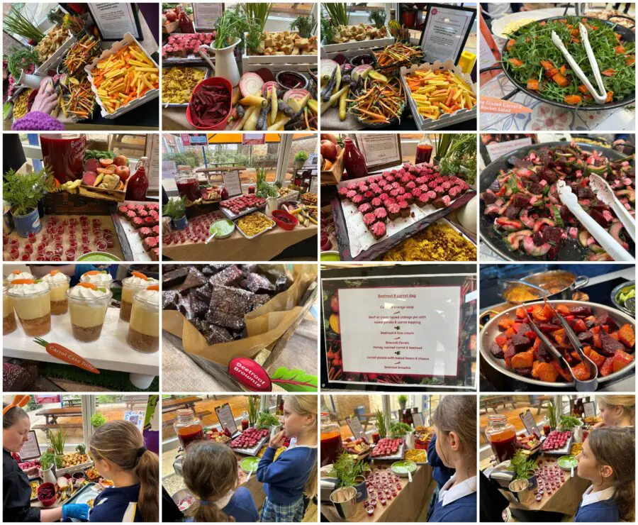 Lunch - Beetroot and Carrot Day