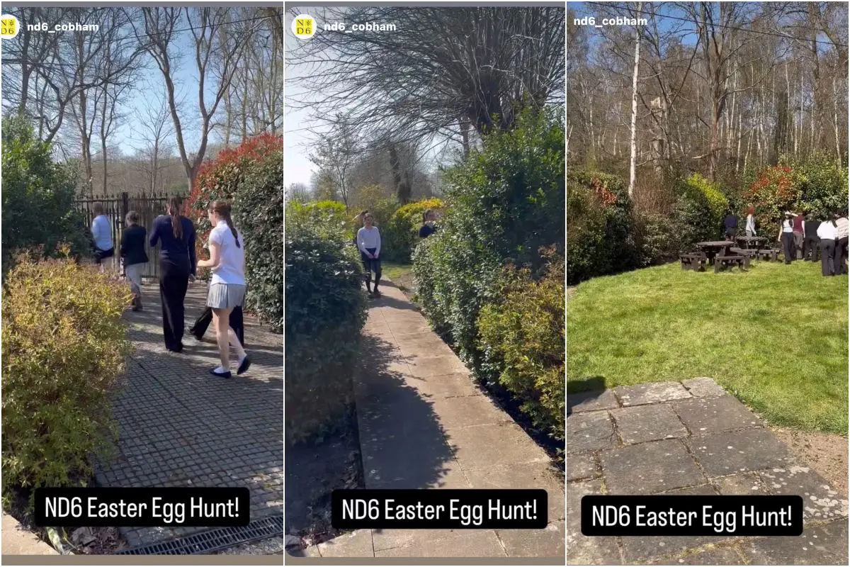 ND6 Easter Egg Hunt