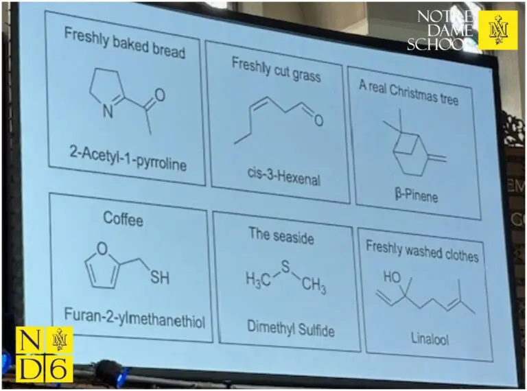 ND6 Posts - Science Corner - Chemistry Lecture