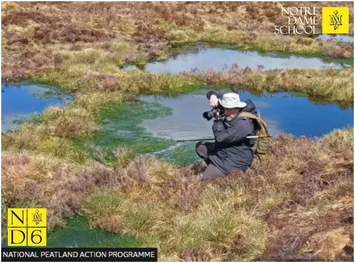 Science Corner - Restoring Peatlands