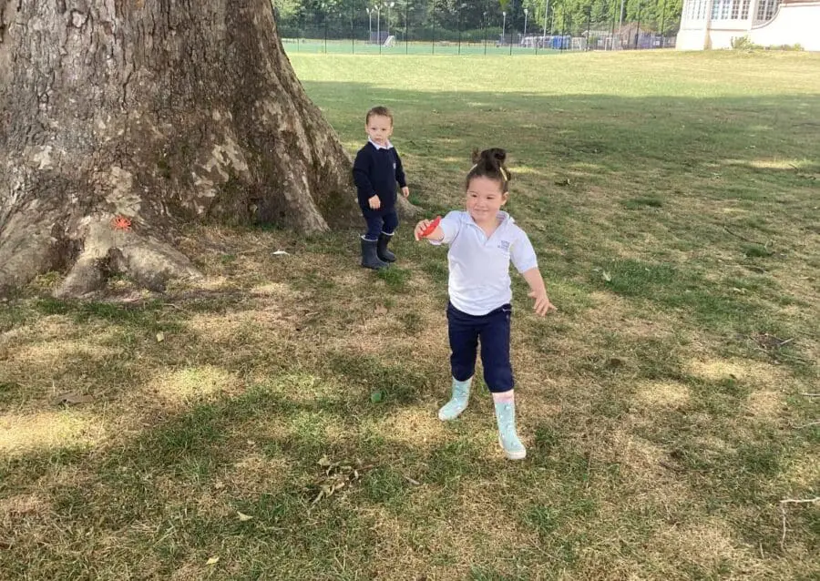 NDEY - Caterpillars News June 3rd