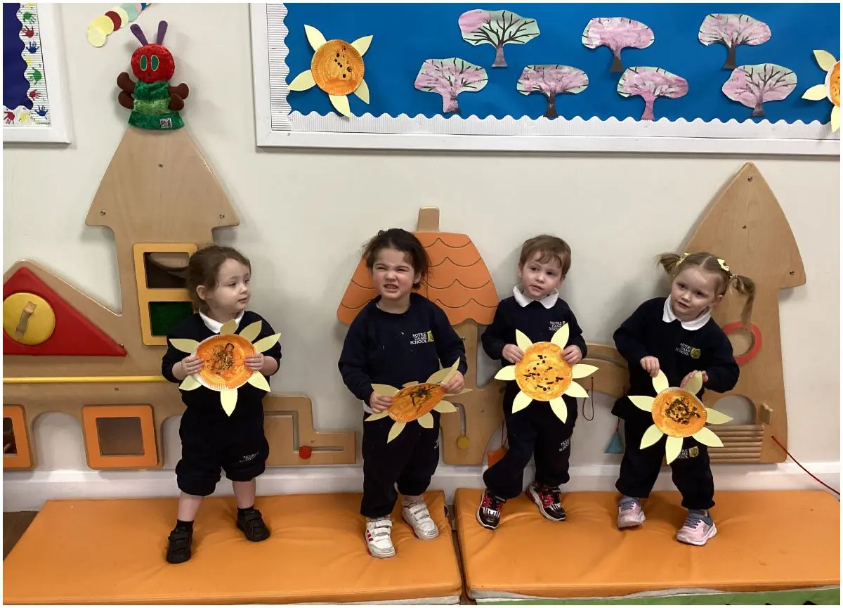 NDEY - Caterpillars - Sunflowers