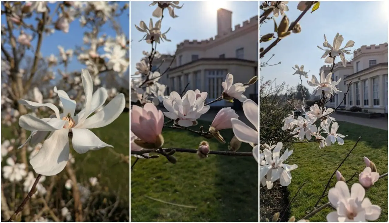 Our Great Outdoors March 28