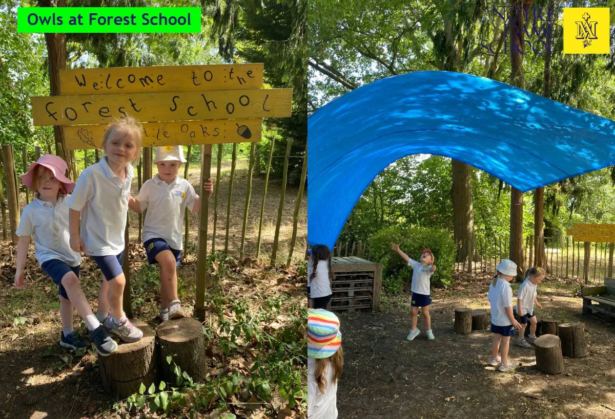 Owls at Forest School July 6th
