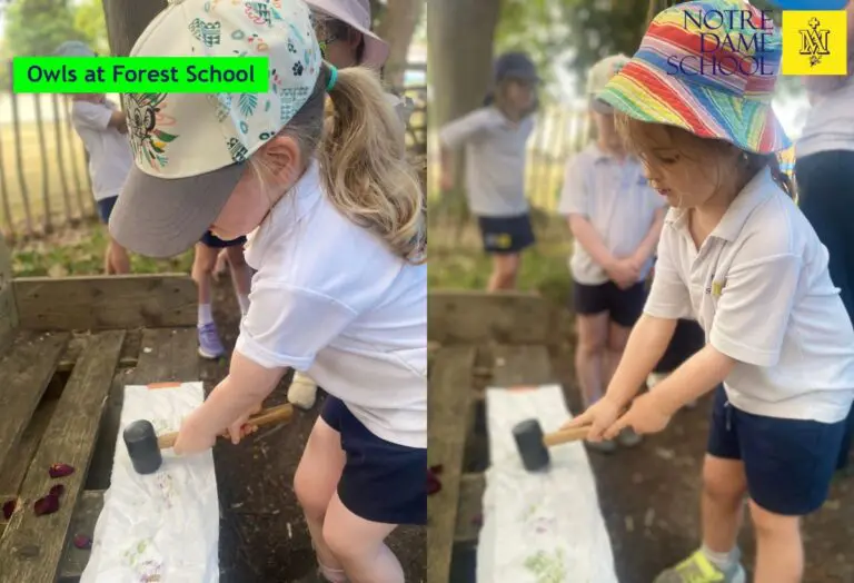 Owls Forest School June 29