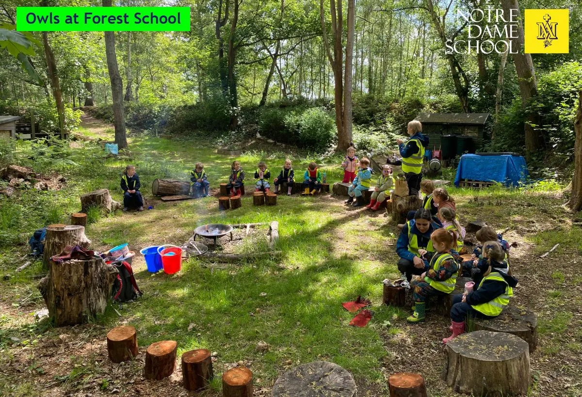 Owls Forest School May 18