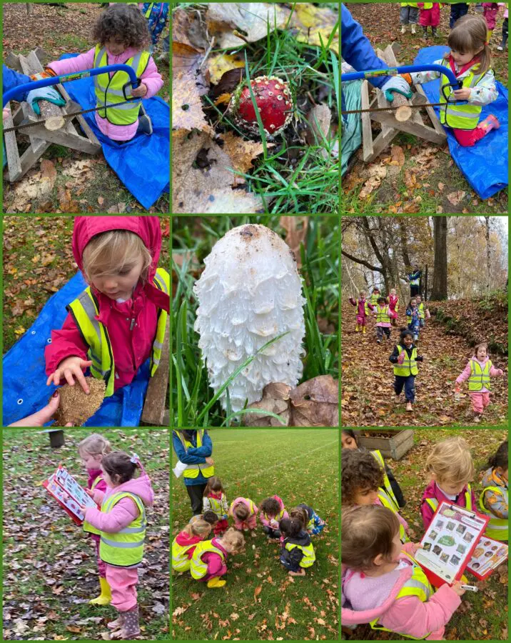 Owls Forest School Nov 18