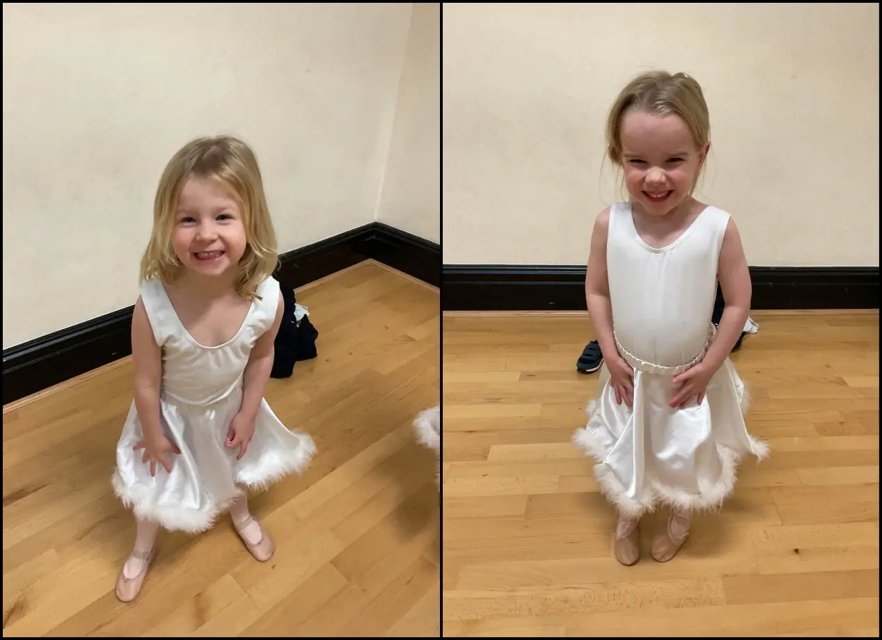 Owls - Nativity Ready