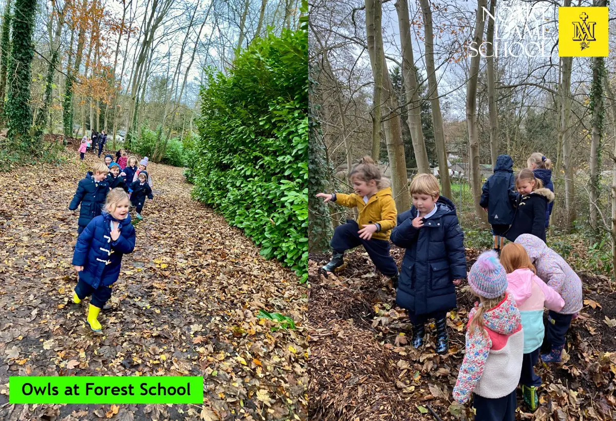 Owls at Forest School Dec 8