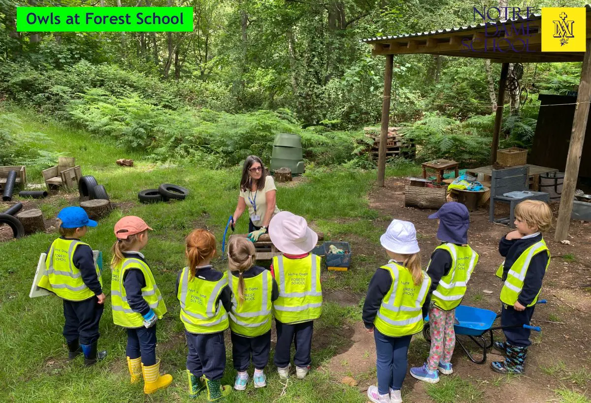 Owls at Forest School June 15