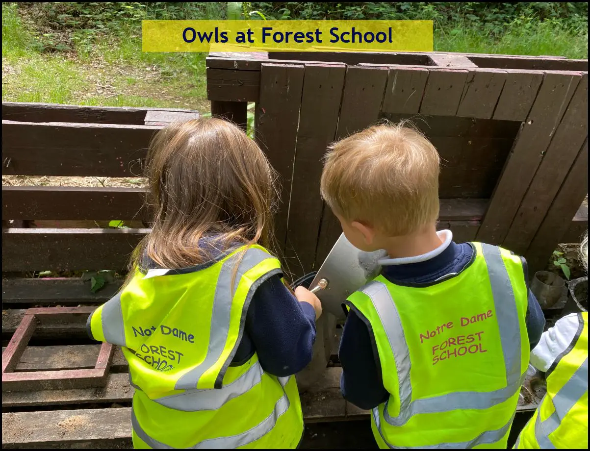 Owls at Forest School June 16