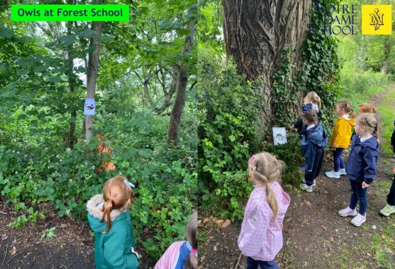 Owls at Forest School June 8