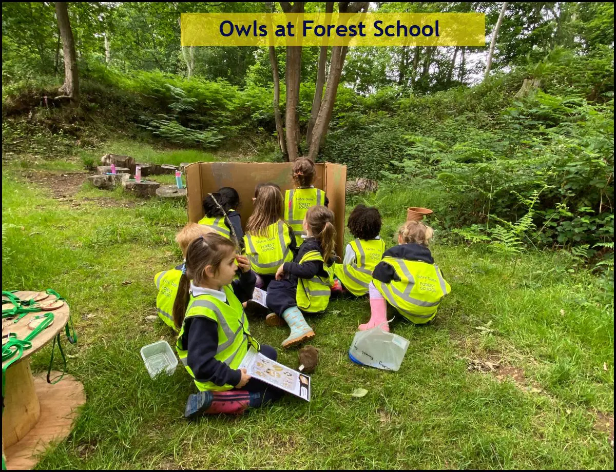 Owls at Forest School June 9