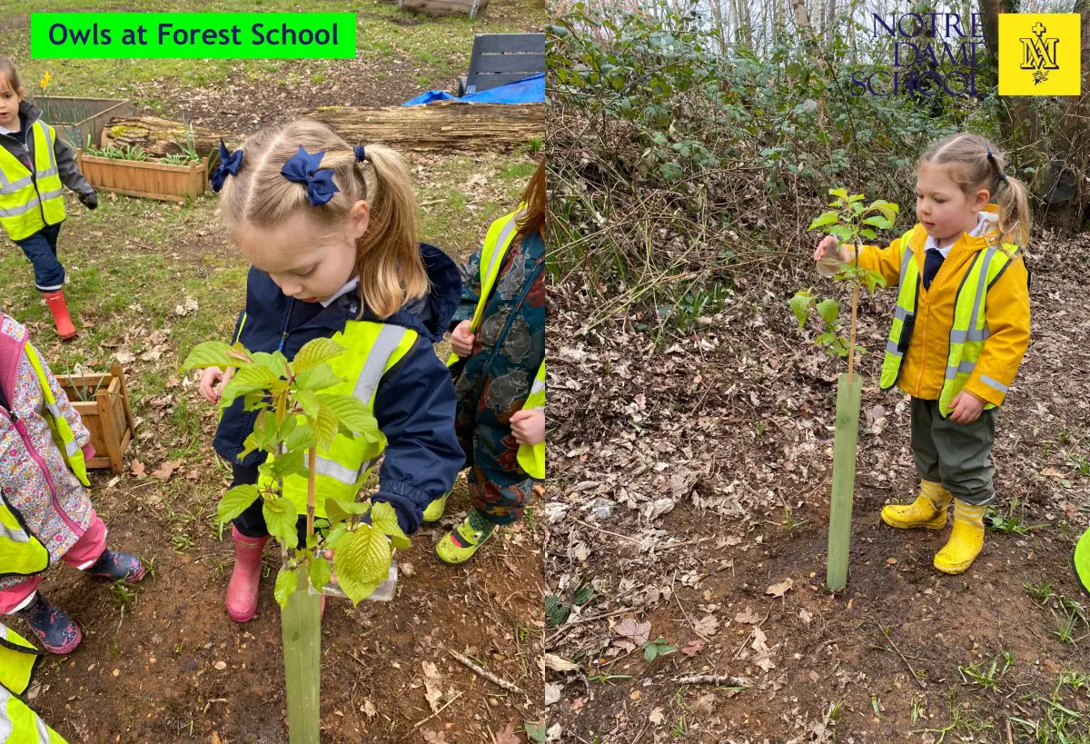 Owls at Forest School March 9
