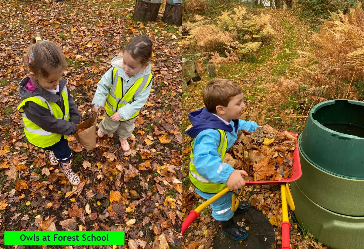 Owls at Forest School Nov 10