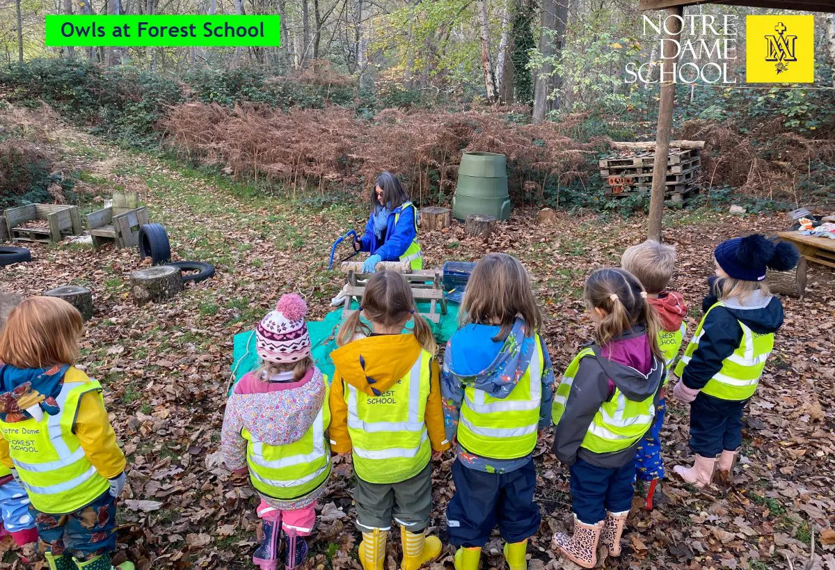 Owls at Forest School Nov 17