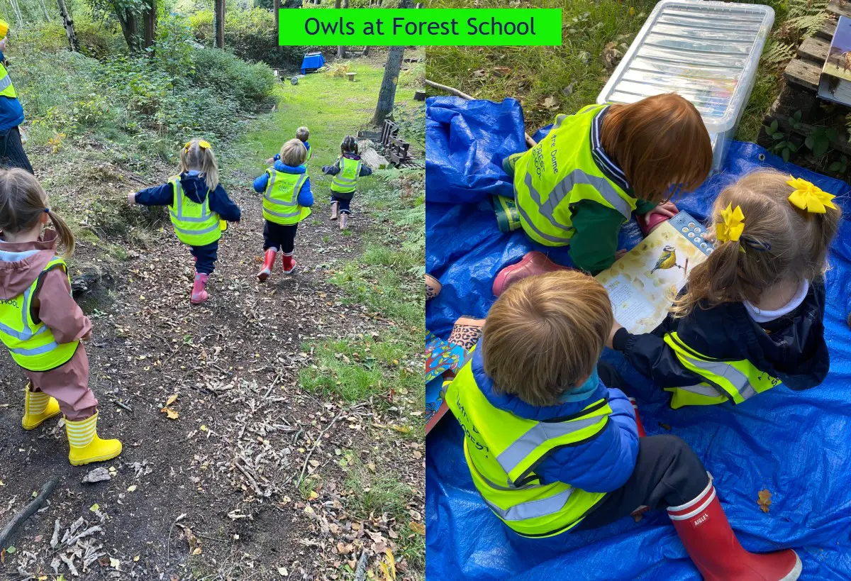 Owls at Forest School Sep 22