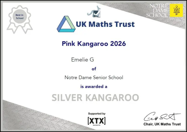 Pink Kangaroo - Emily G - Silver Awards