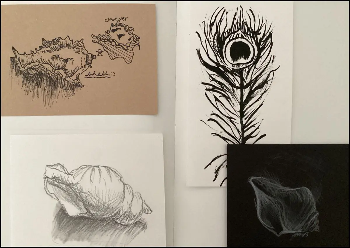 Prep Art - Year 5 Natural Forms