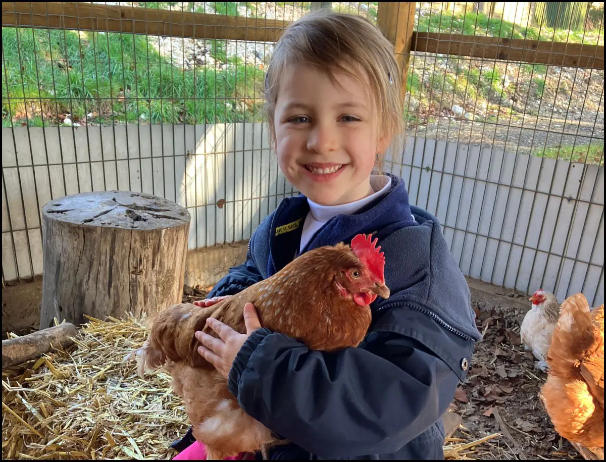 Prep - Y1 Trip to Mane Chance FBOOK