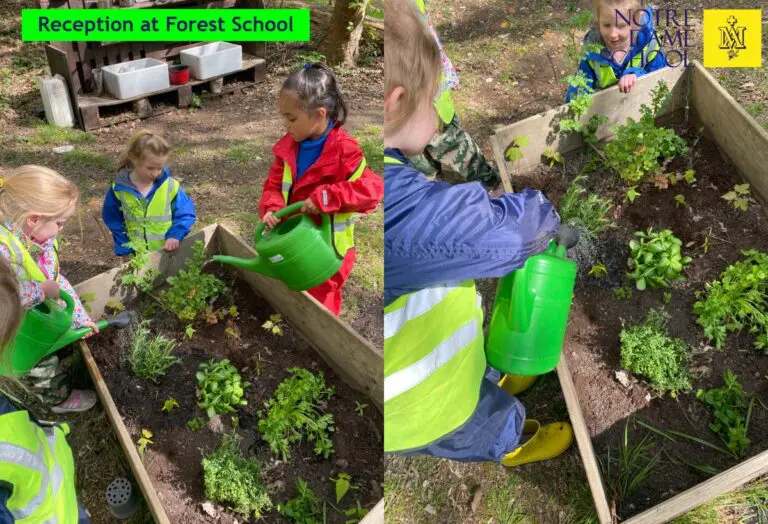 Reception Forest School April 21