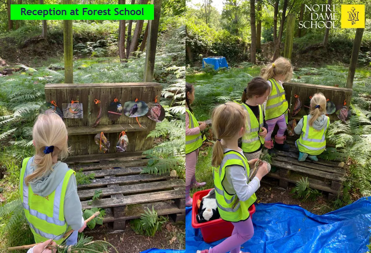 Reception Forest School June 16
