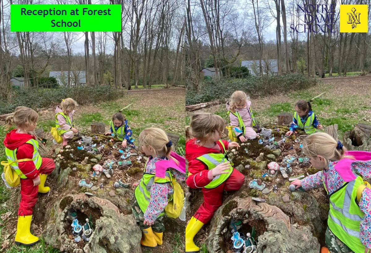 Reception Forest School March 24